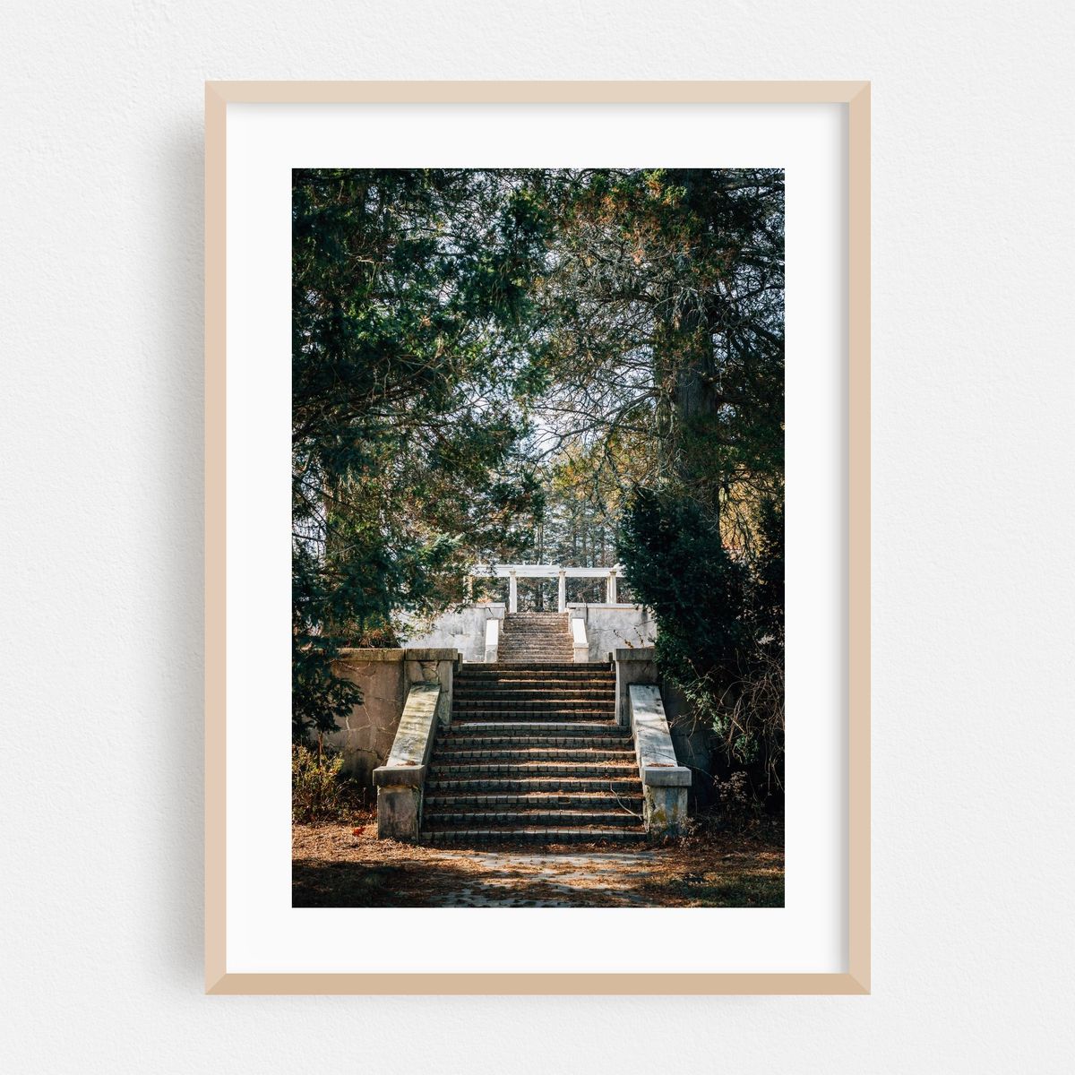 Swannanoa Palace – image 1 of 16