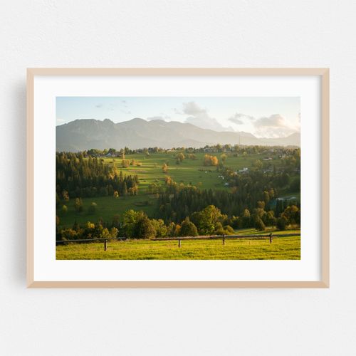 Suche Views 04