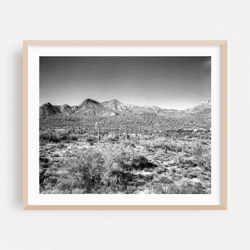 Forgotten Scottsdale