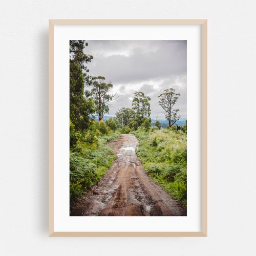 Bunyip Trails
