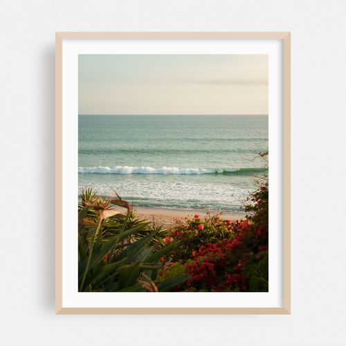 Coastal San Clemente