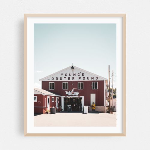 Young's Lobster Pound 03