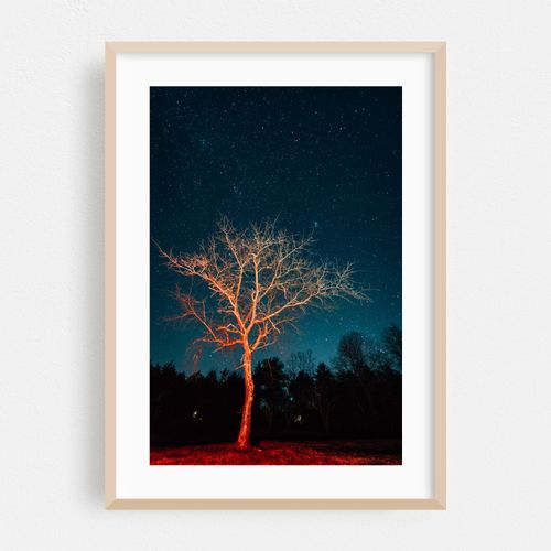 Illuminate