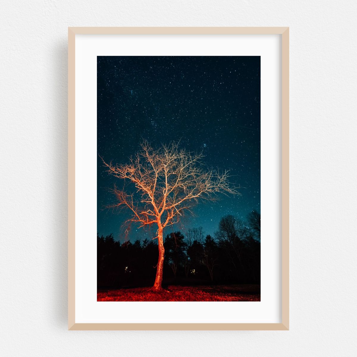 Illuminate – image 1 of 16