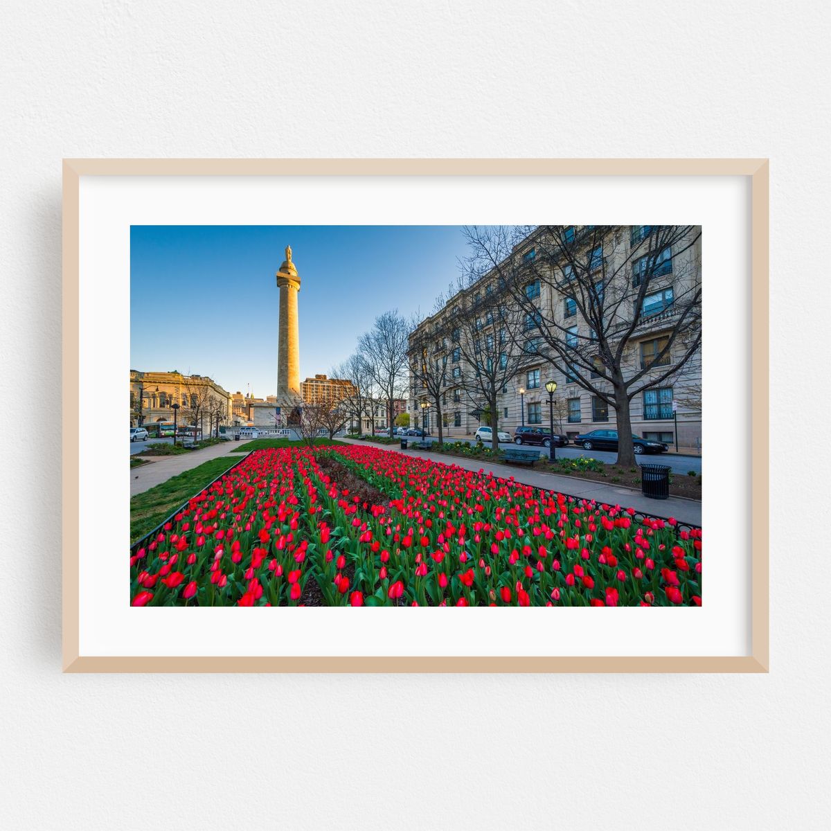 Tulips 02 – image 1 of 6