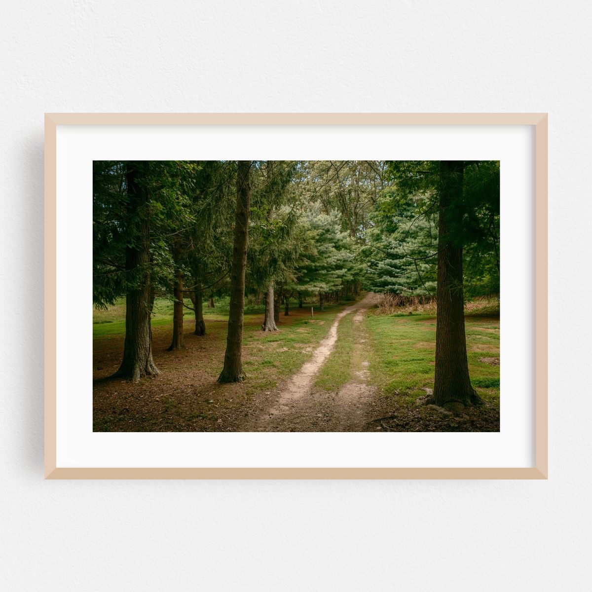 Trail at Hoyt Farm Nature Preserve, Commack 03 – image 1 of 6