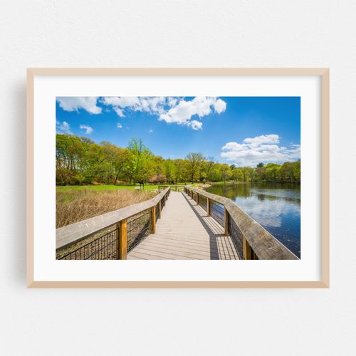 Duck Pond at Edgewood Park, New Haven 03
