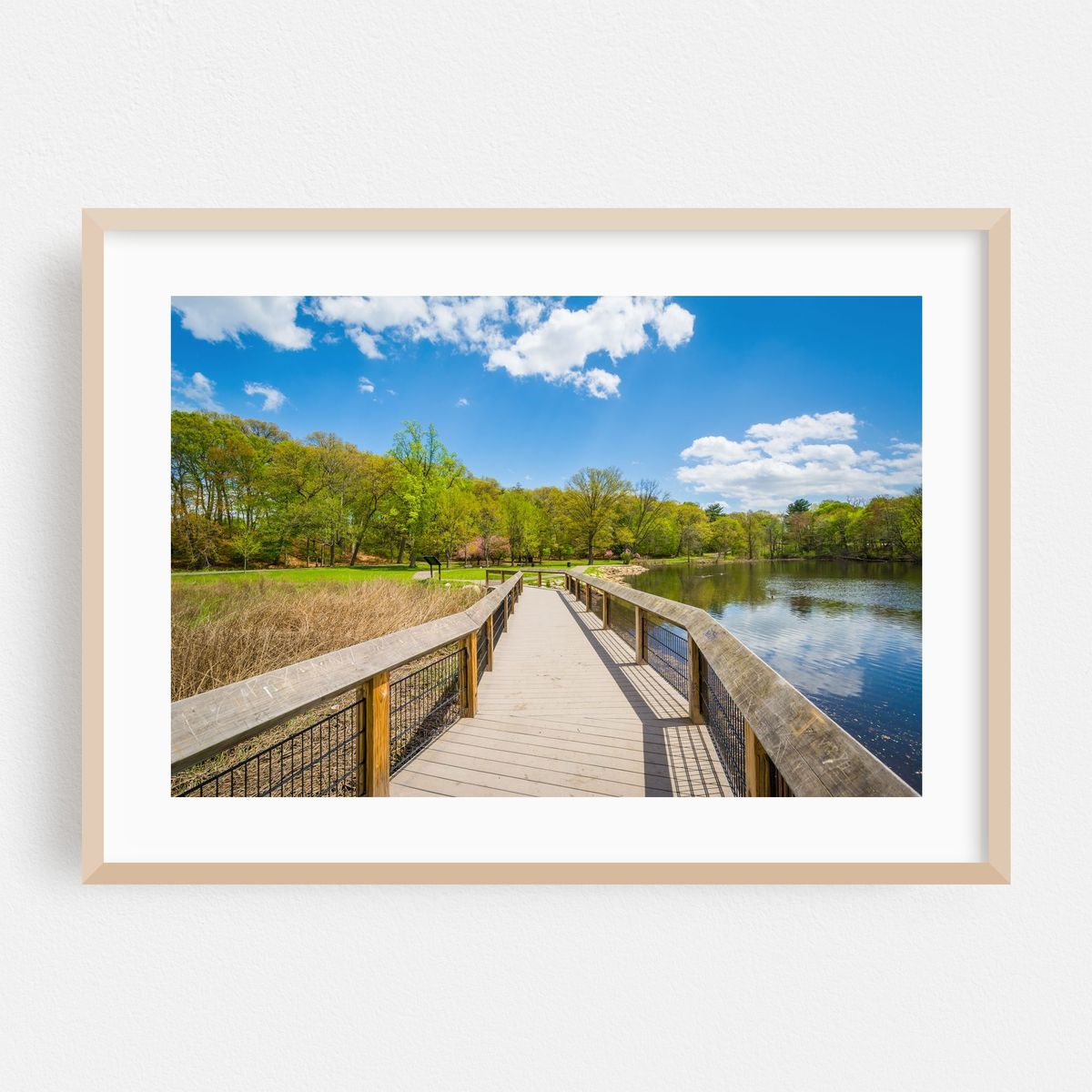 Duck Pond at Edgewood Park, New Haven 03 – image 1 of 6