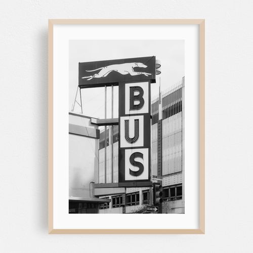 Greyhound B&W