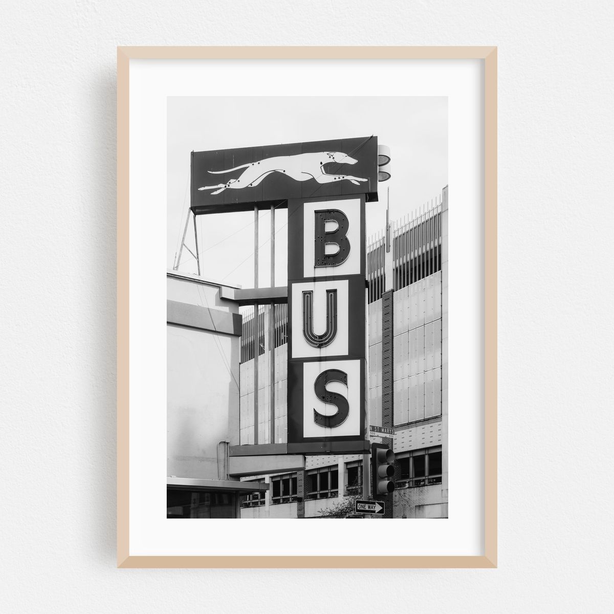 Greyhound B&W – image 1 of 16