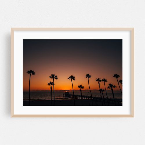 Palms, Manhattan Beach 02