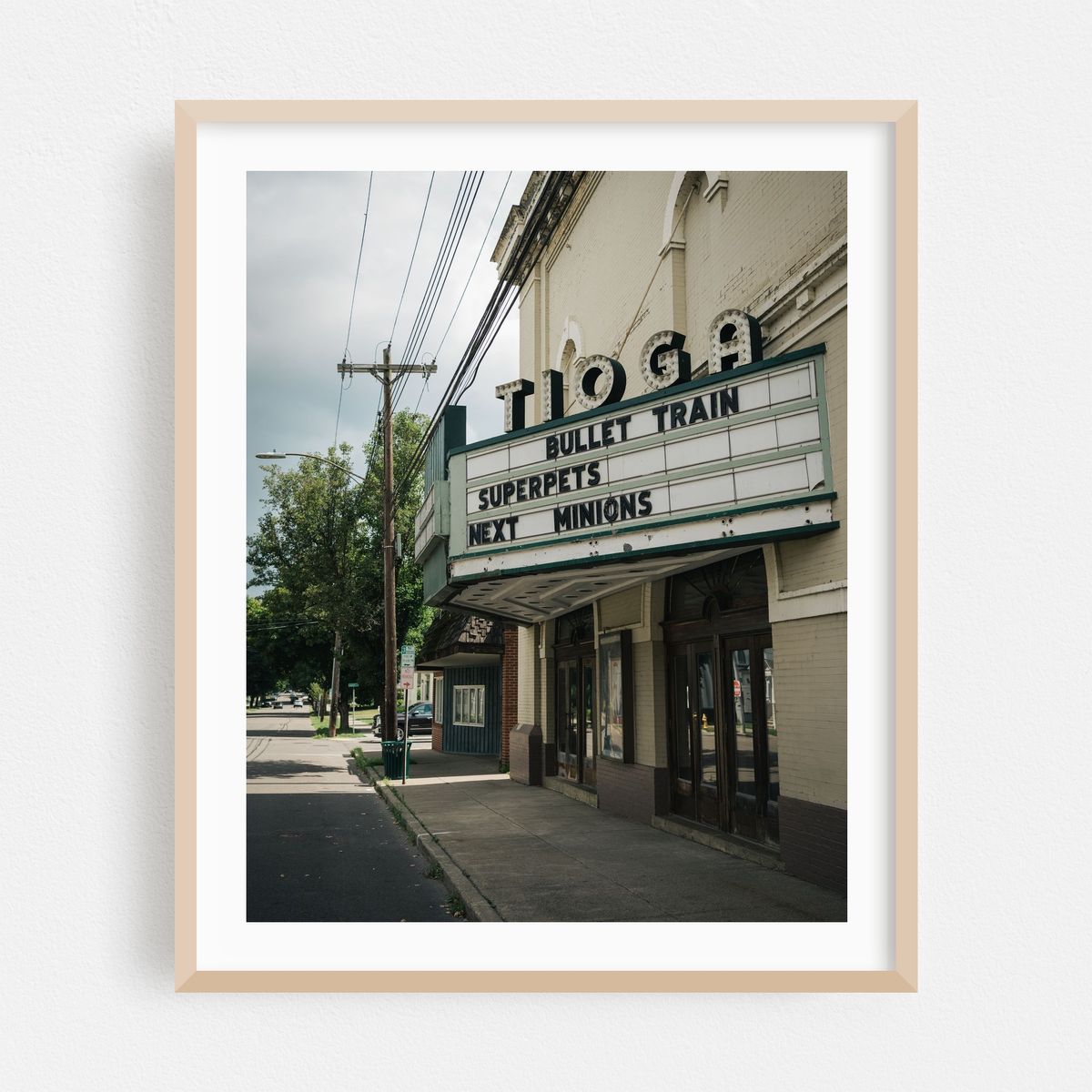 Tioga Theater, Owego – image 1 of 12