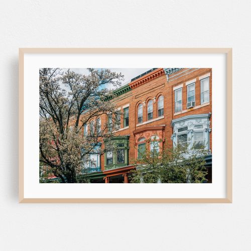 Spring in Charles Village