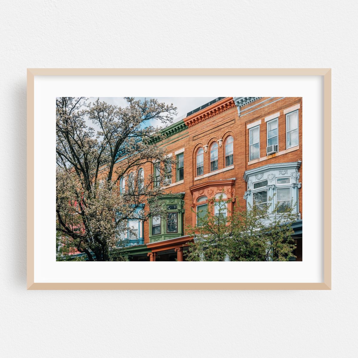 Spring in Charles Village – image 1 of 6