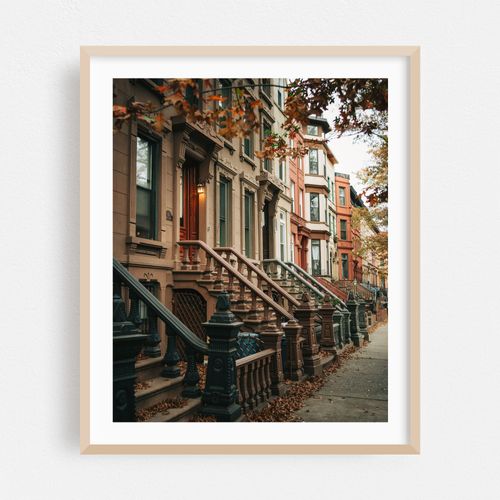 Bed-Stuy Architectural 02