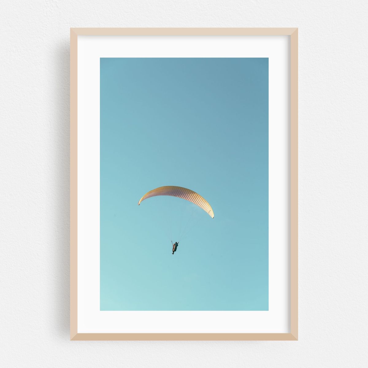Glider, La Jolla – image 1 of 16