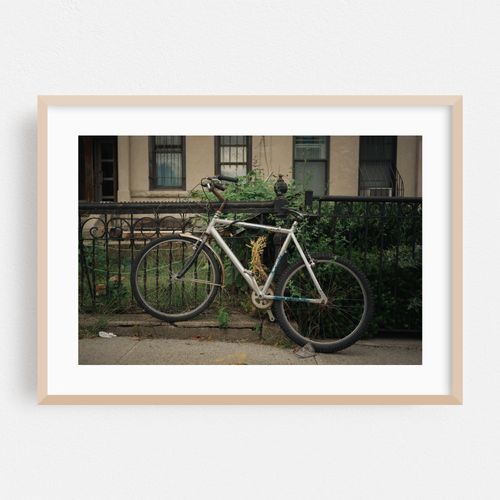 Biking Crown Heights