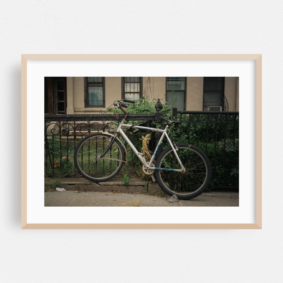 Biking Crown Heights – image 1 of 6