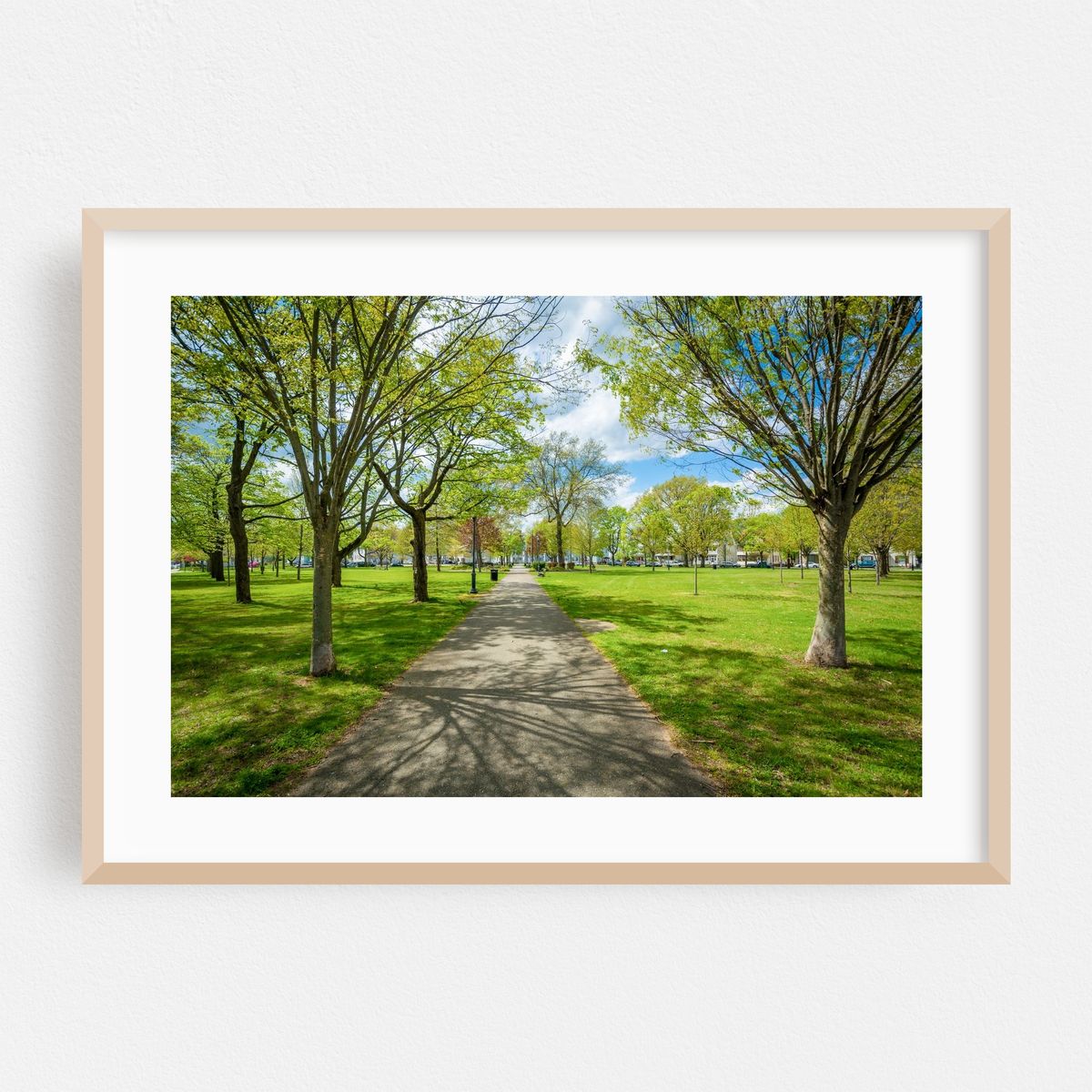 Chatham Square Park, New Haven 02 – image 1 of 6