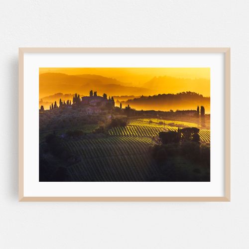 Golden Tuscany