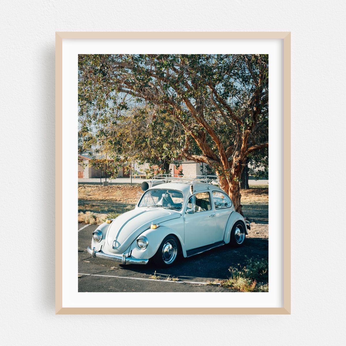 1969 VW Beetle, Salton Sea Beach – image 1 of 12