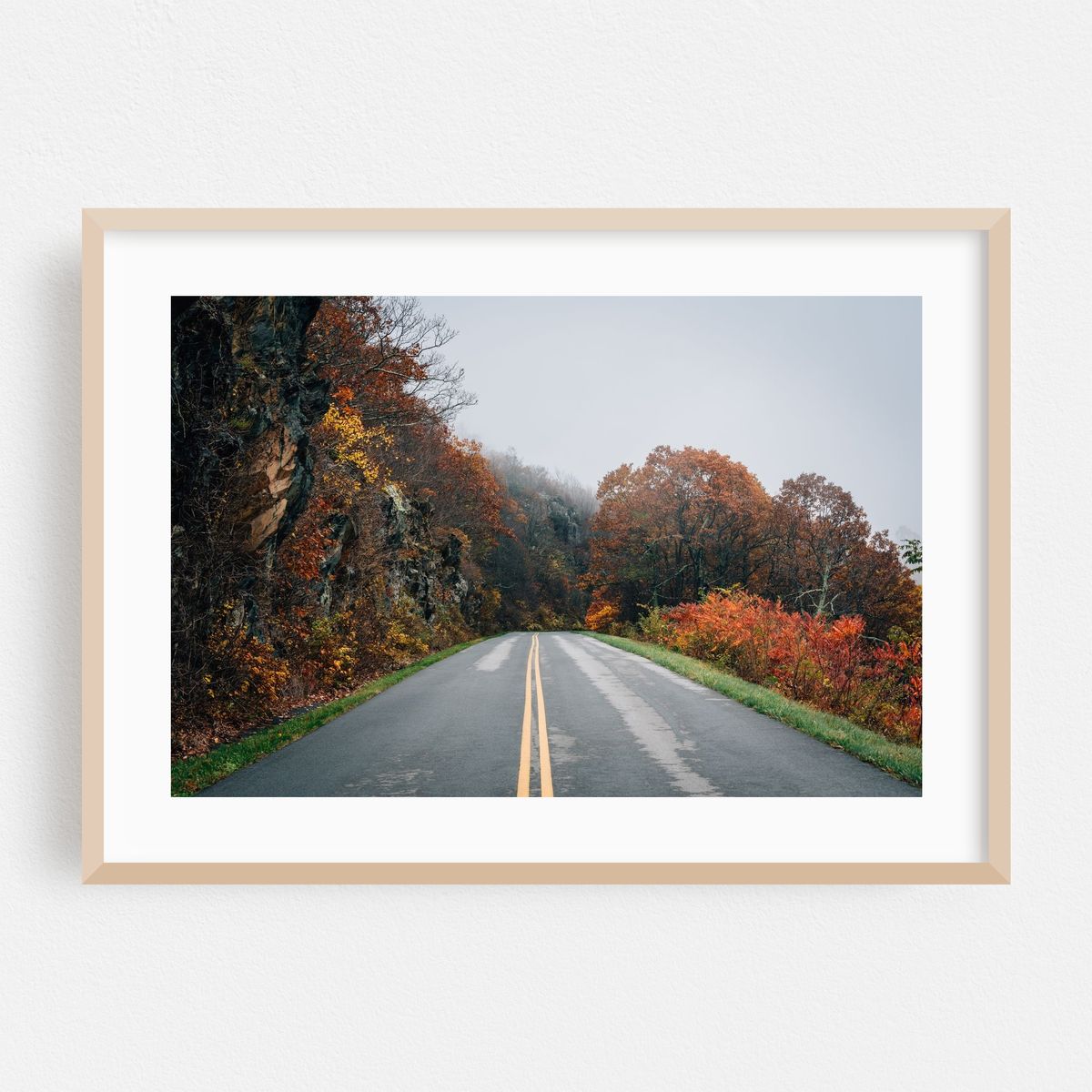 Foliage – image 1 of 6