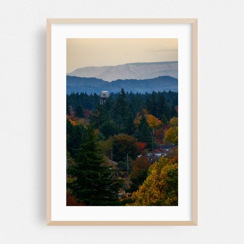 Autumnal View Across the Valley