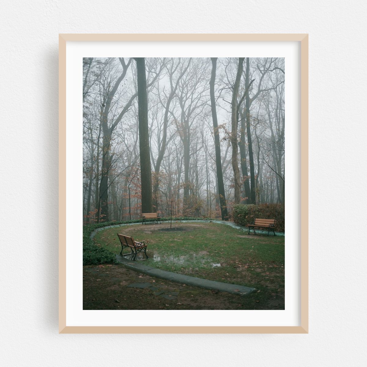 Foggy Woods, Bel Air 02 – image 1 of 12