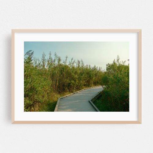 Fire Island Boardwalk 06