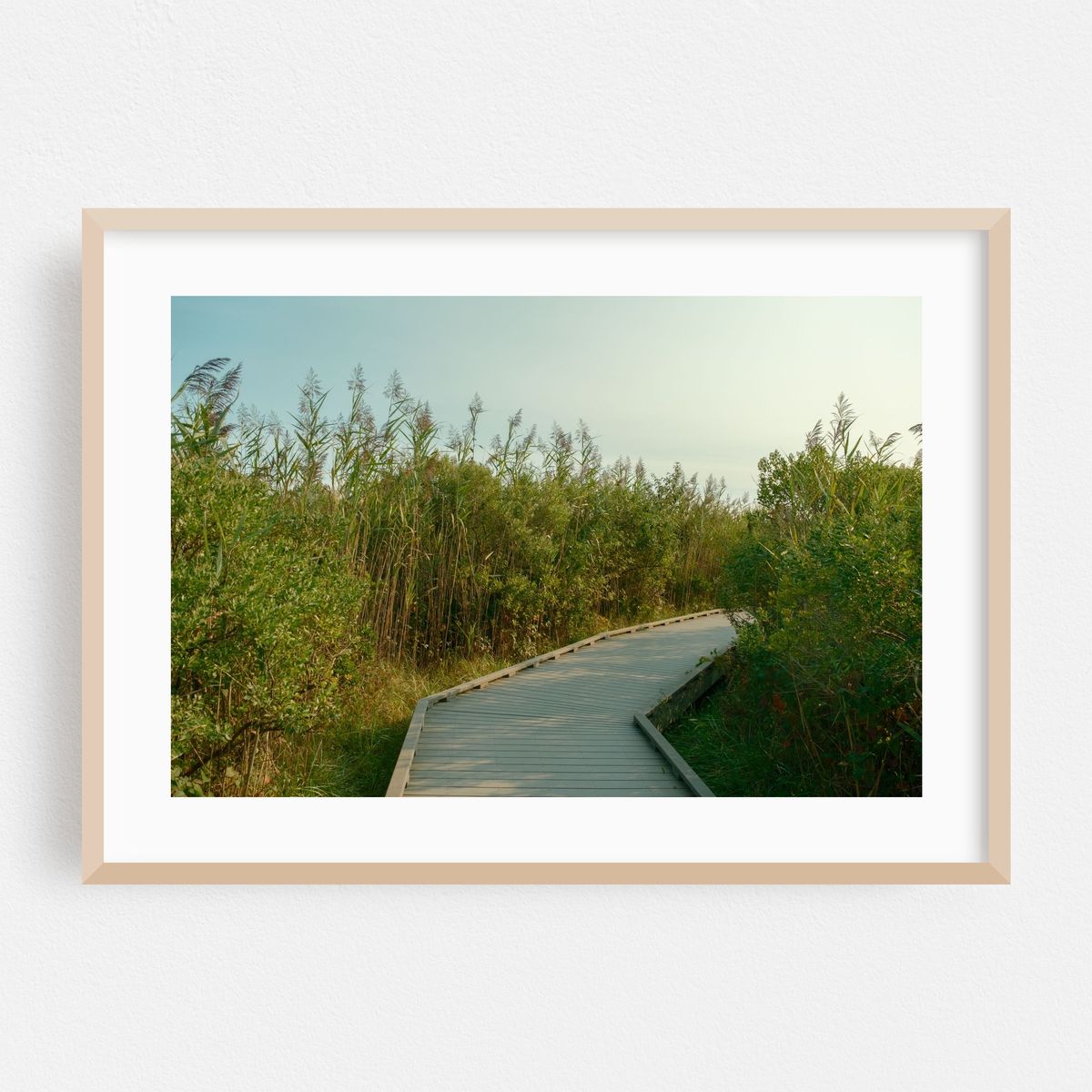Fire Island Boardwalk 06 – image 1 of 6
