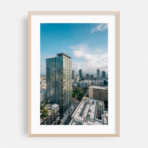 Downtown Views, LA 03