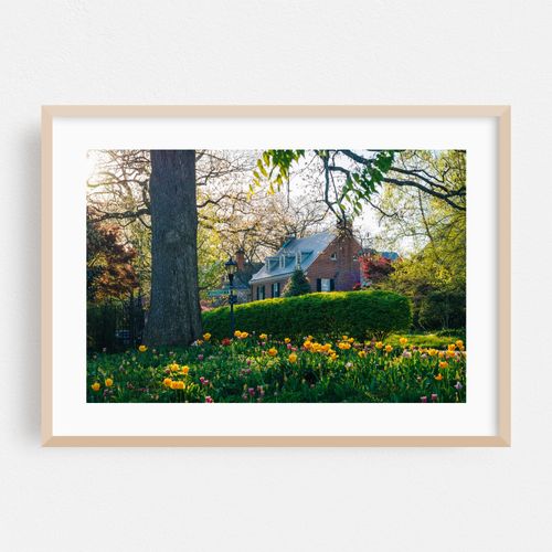 Spring in Guilford