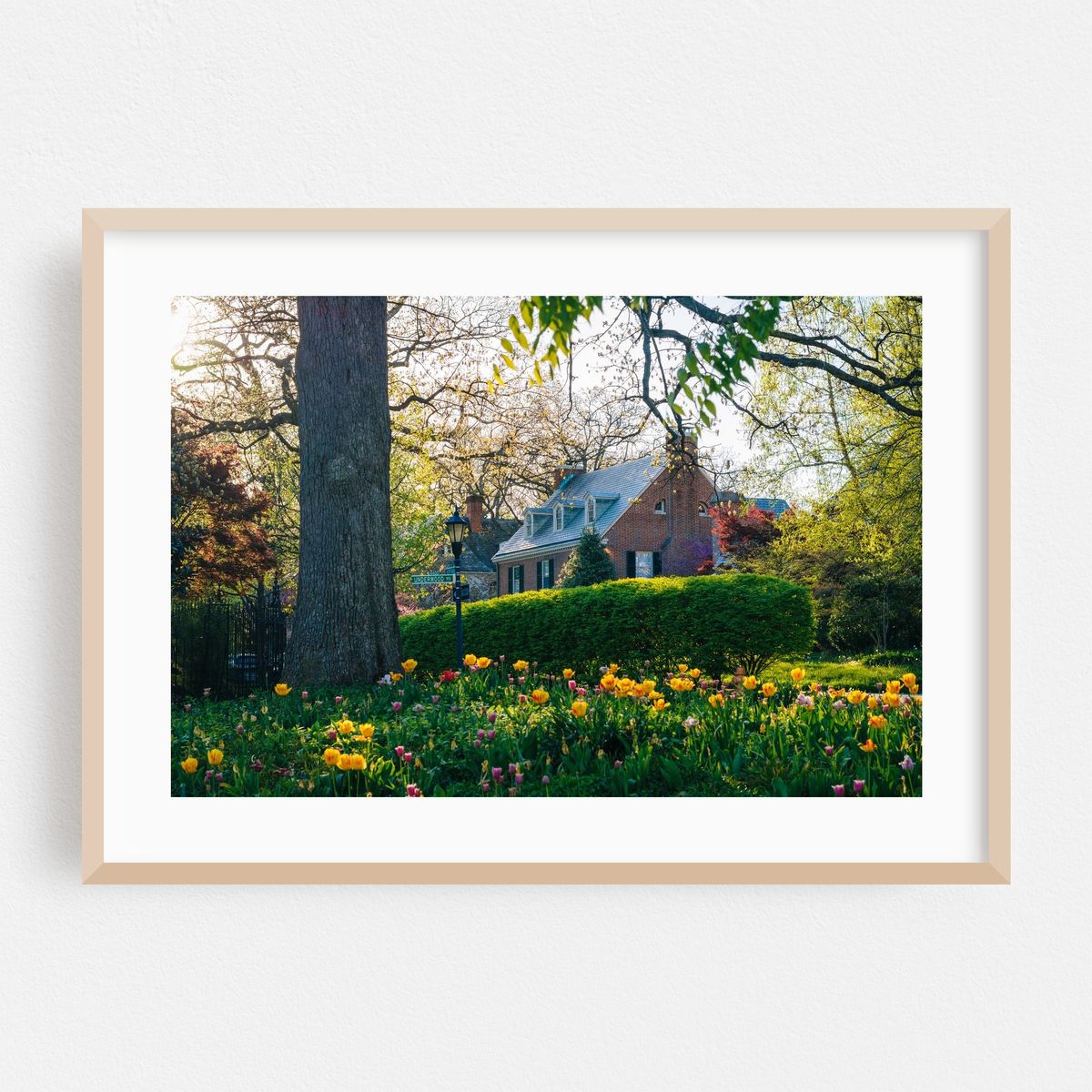 Spring in Guilford – image 1 of 6