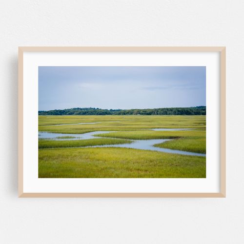 Sandwich Wetlands