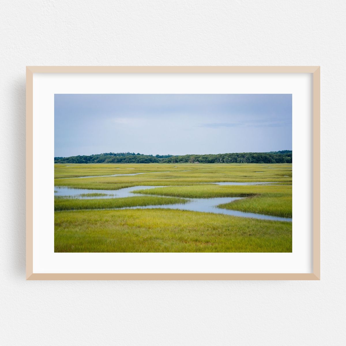 Sandwich Wetlands – image 1 of 6