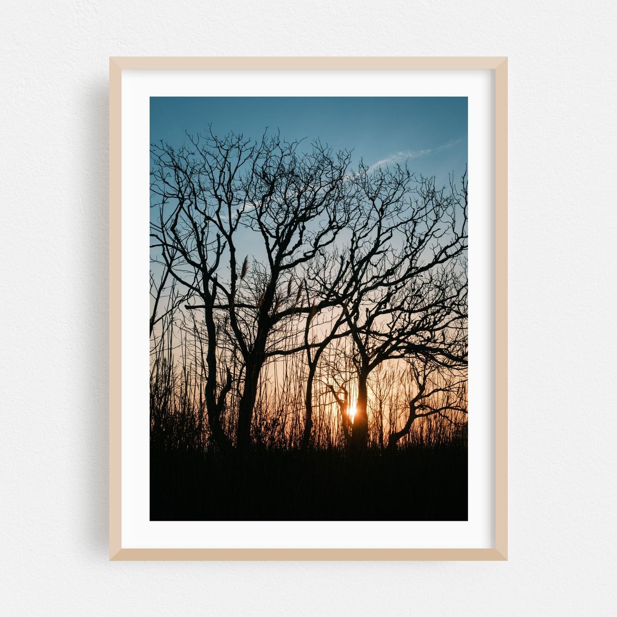 Sunset at Island Beach – image 1 of 3