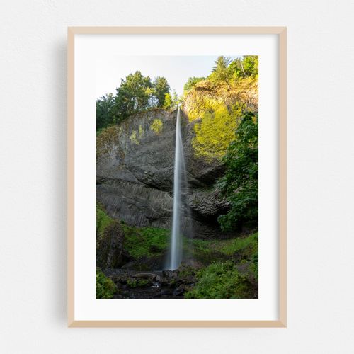 Lower Latourell Falls in the Morning