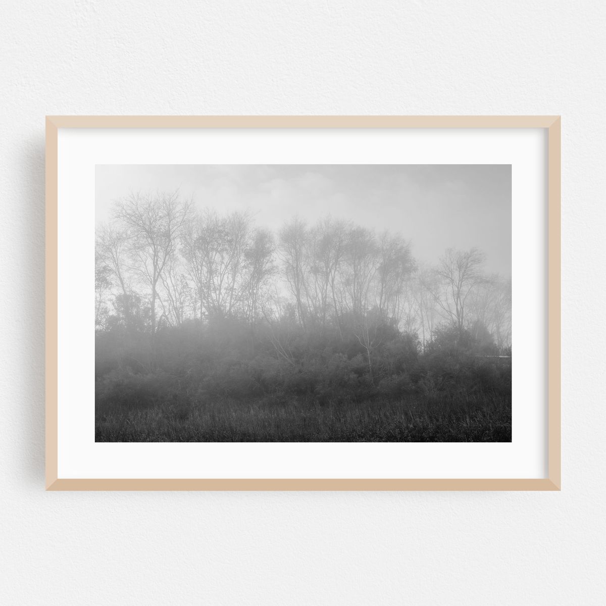 Washed Out B&W – image 1 of 6