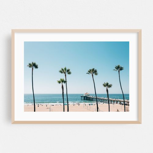 Palms, Manhattan Beach 03