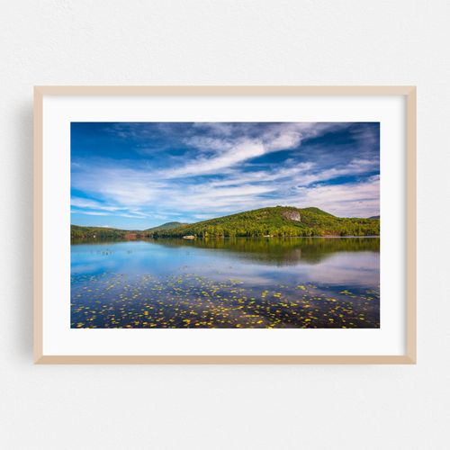 North Pond 01