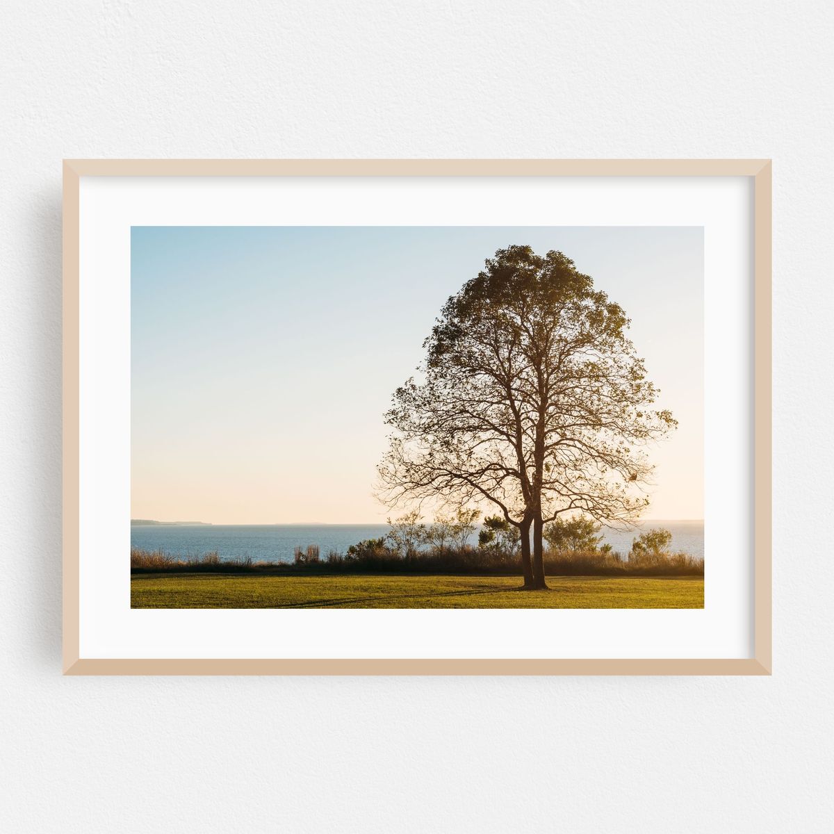 Elk Neck Tree – image 1 of 6