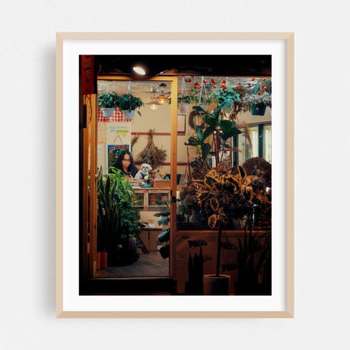 Dog in the Plant Shop 01
