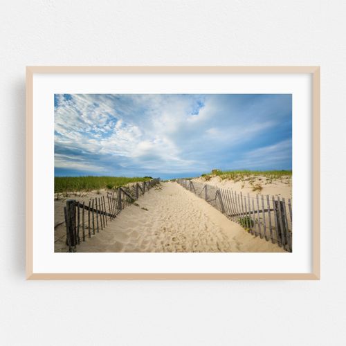 Dunes at Race Point, Provincetown 04