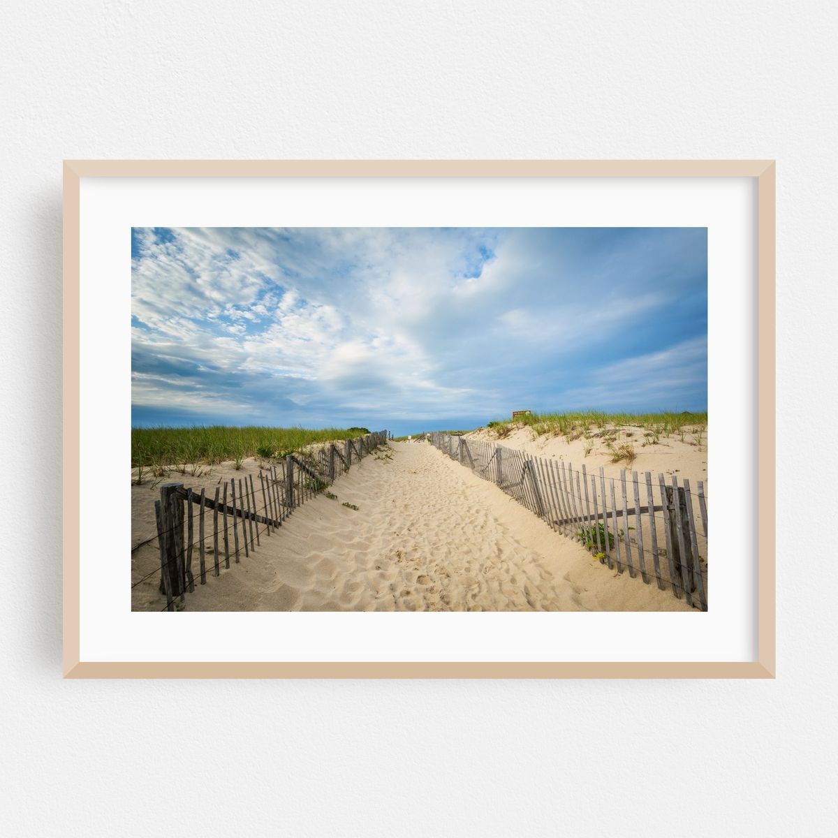 Dunes at Race Point, Provincetown 04 – image 1 of 6