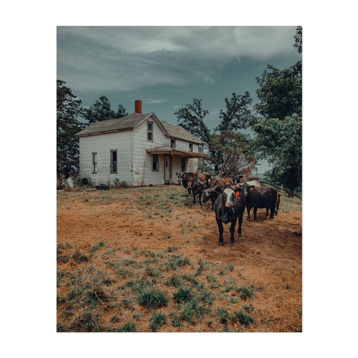 Prairie Union Farm House – image 1 of 2