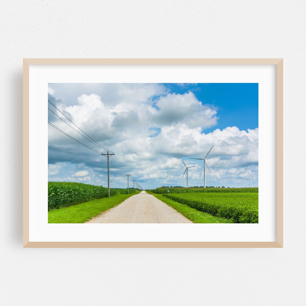Wind Blows – image 1 of 6