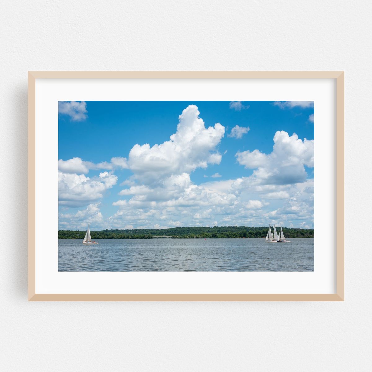 The Potomac from Mount Vernon Trail – image 1 of 6