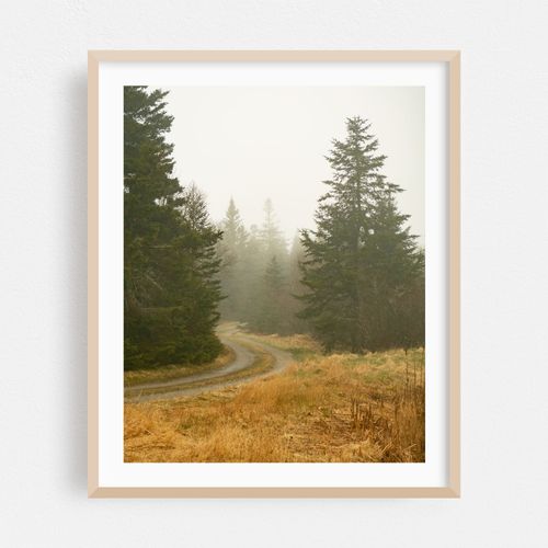 Dirt Road, Beals Island