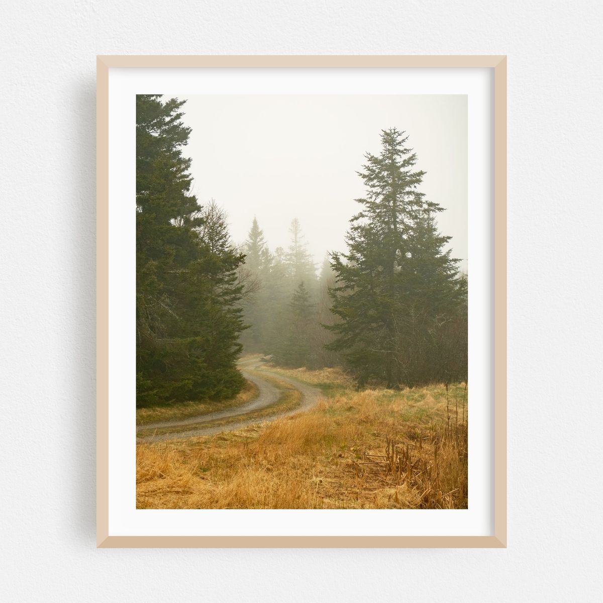 Dirt Road, Beals Island – image 1 of 12