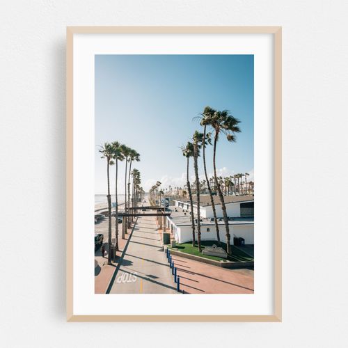 Oceanside Palms